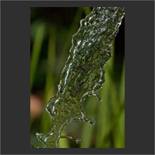 Slow Water